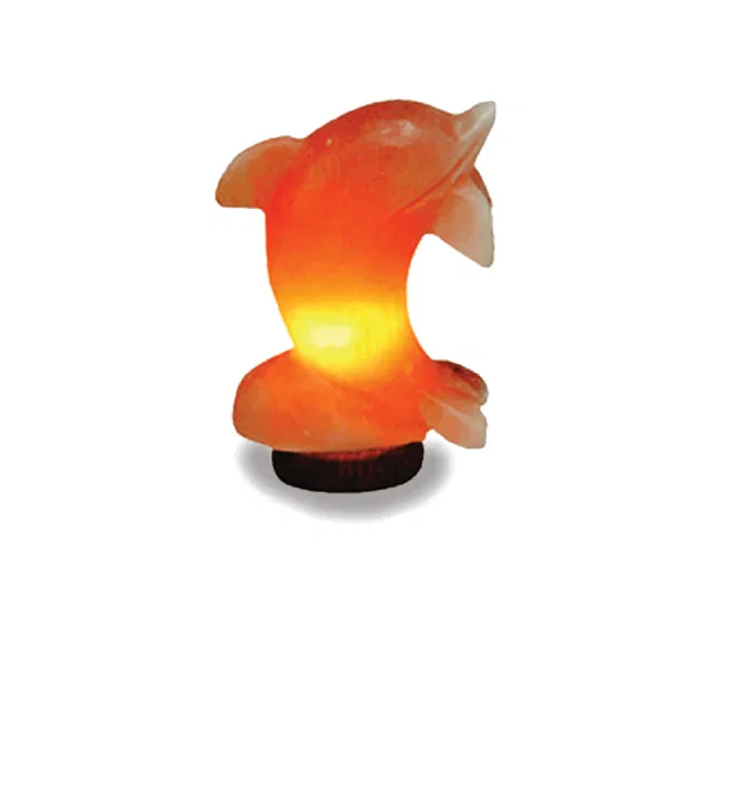 Sólámpa delfin 2-4kg - Image 3
