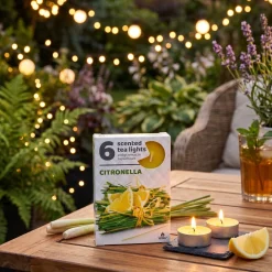 teamécses citronella
