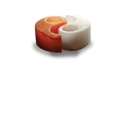 yingyang-mecses